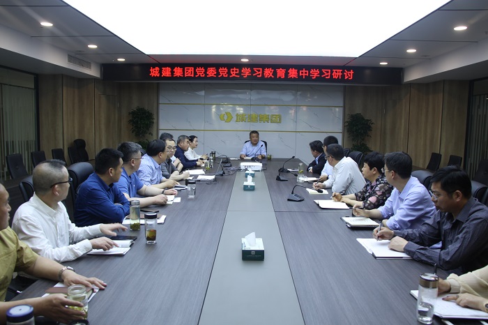 05.08党史学习教育研讨会.JPG 05.08党史学习教育研讨会.JPG